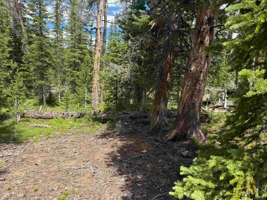 Tract 27 Overlook Retreat, Elk Mountain, WY 82324 - #2