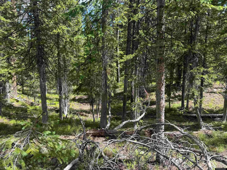 Tract 27 Overlook Retreat, Elk Mountain, WY 82324 - #3
