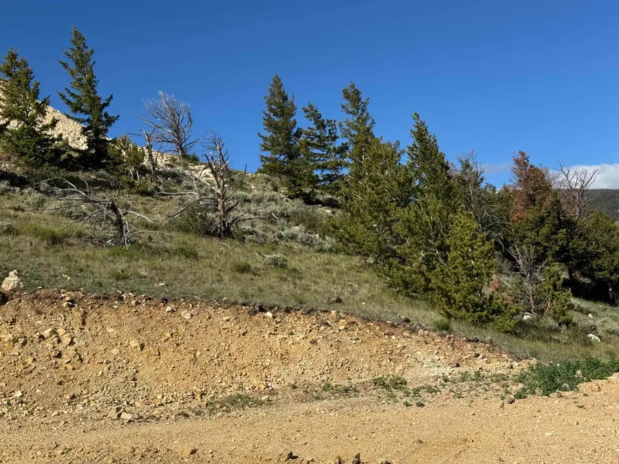 LOT 125B Water Gulch Court, Dubois, WY 82513 - #2