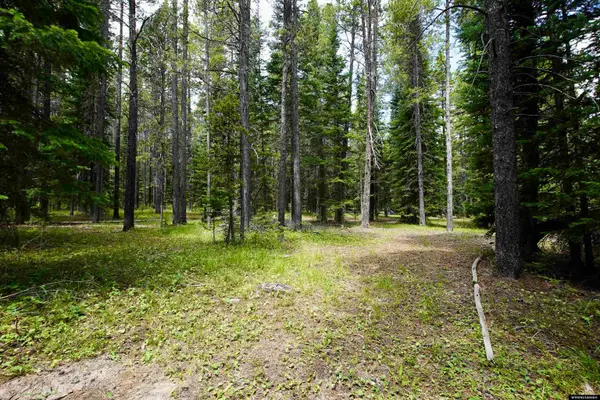 Tract 9 Casper Mountain, Casper, WY 82601
