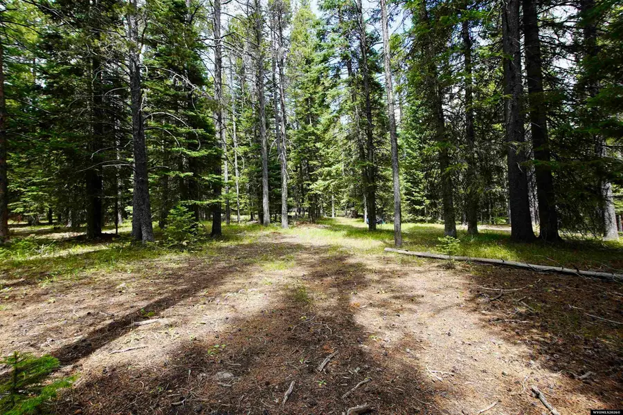 Tract 9 Casper Mountain, Casper, WY 82601 - #2