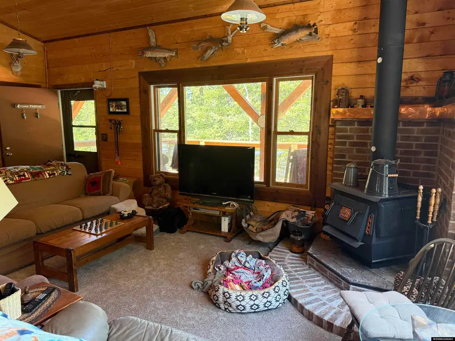 3 Black Bear Drive, Elk Mountain, WY 82324 - #2