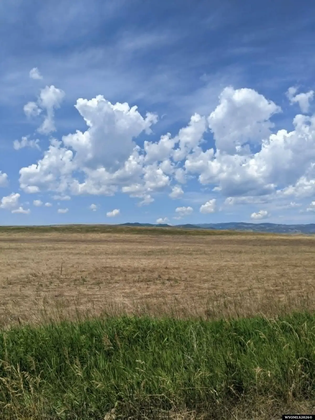 8 Headquarters Lane, Buffalo, WY 82834 - #1