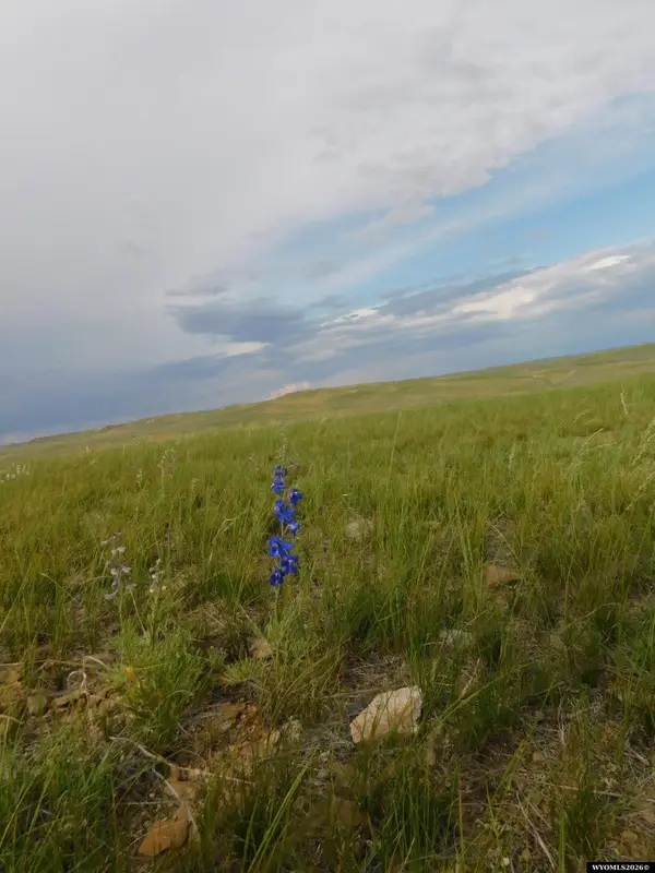 18500 Stuckenhoff ST, Casper, WY 82601
