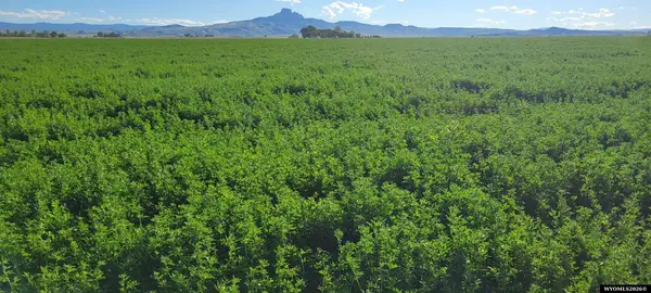 TBD Road 20, Powell, WY 82435