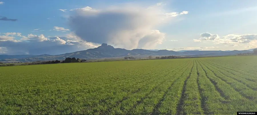 Road 20, Powell, WY 82435 - #2