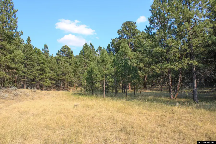 500 Mason Creek Rd, Sundance, WY 82729 - #3