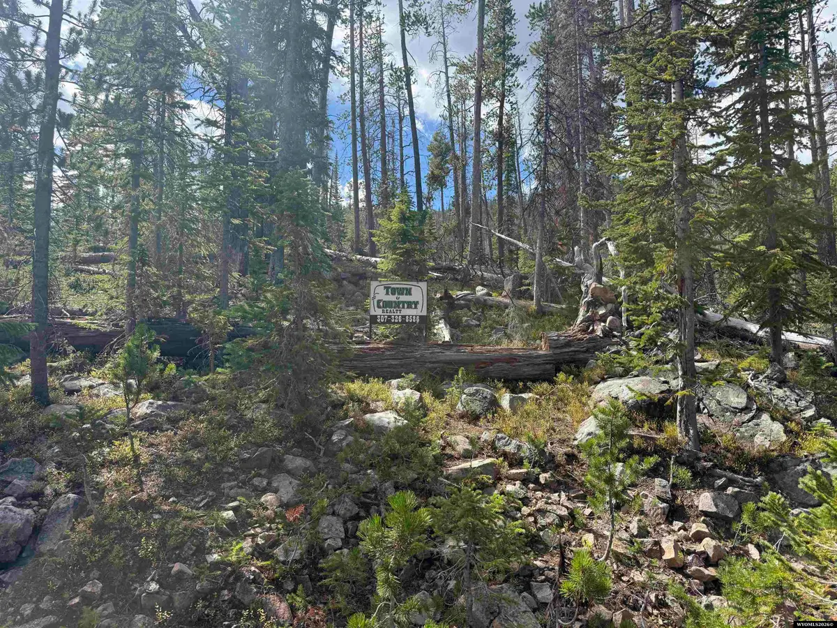 Tract 95 Overlook Retreat, Elk Mountain, WY 82324-0000 - #1