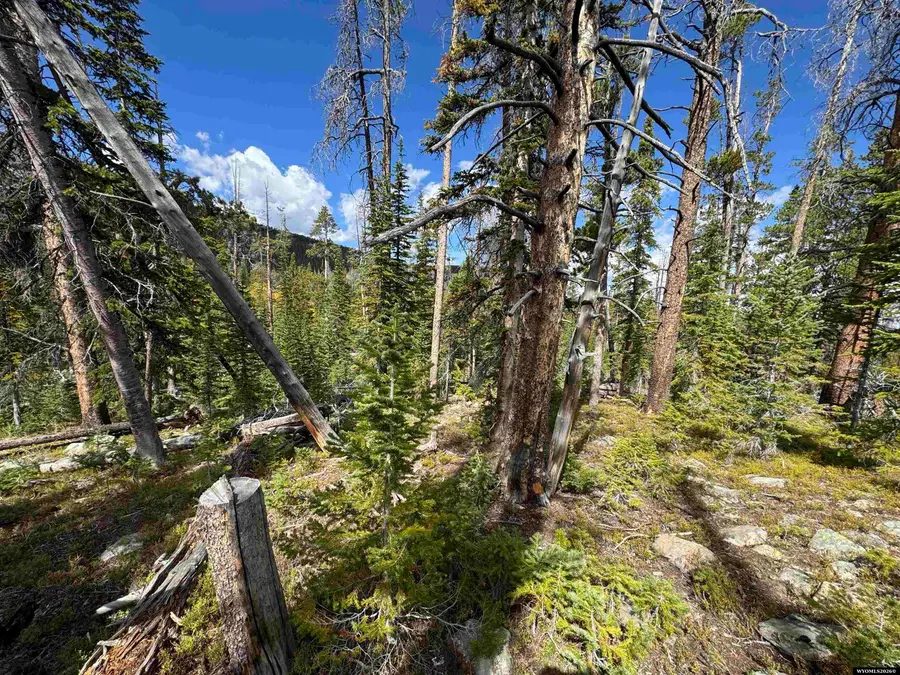 Tract 95 Overlook Retreat, Elk Mountain, WY 82324-0000 - #2