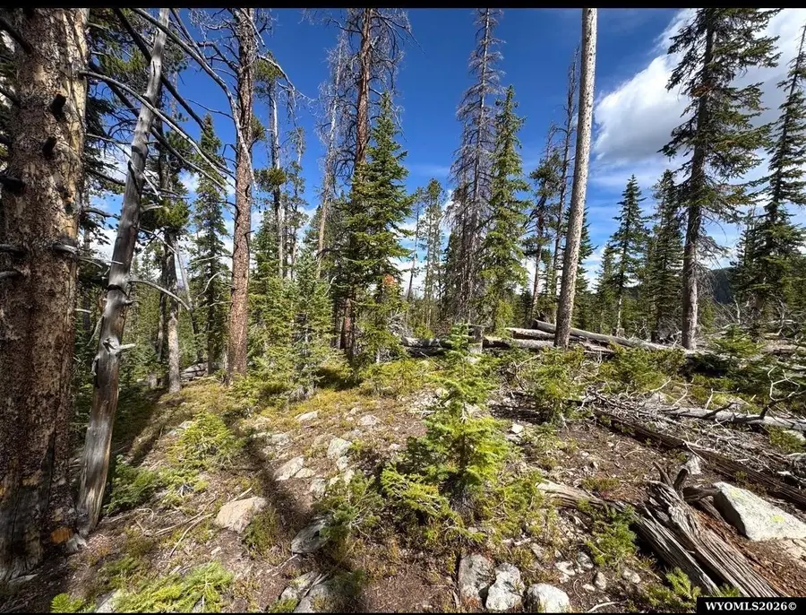 Tract 95 Overlook Retreat, Elk Mountain, WY 82324-0000 - #3